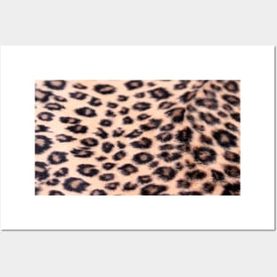 Leopard Print Pattern Posters and Art